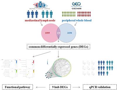 Identification and validation of hub differential genes in pulmonary sarcoidosis
